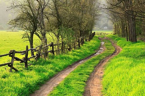 spring-country-road.jpg